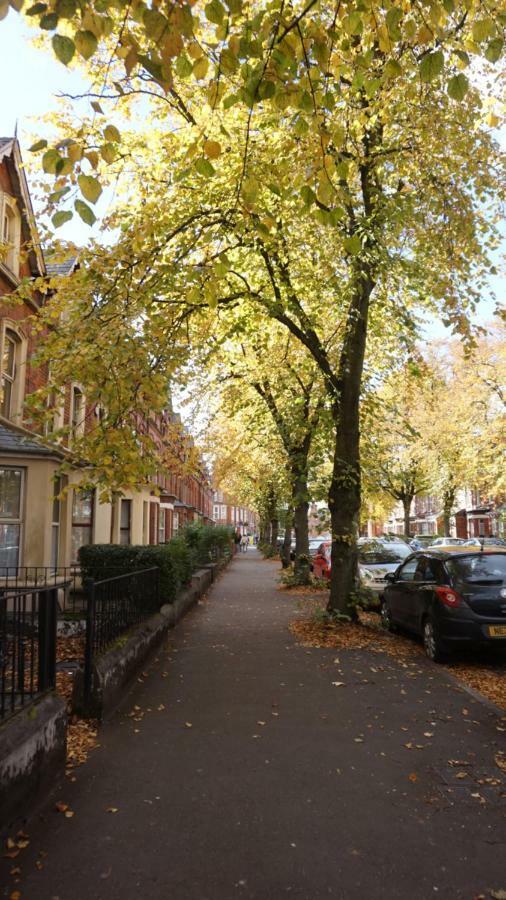 Big Yellow Door In Queens Quarter 벨파스트 외부 사진